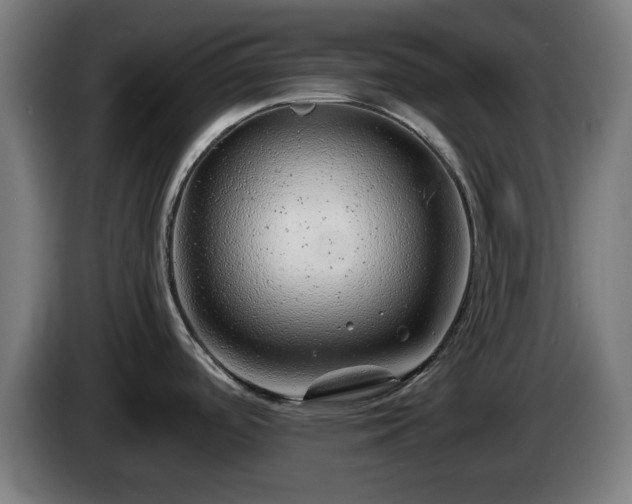 X0000086081488200703301117