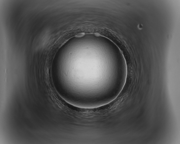 X0000086081489200703301116