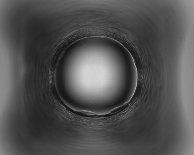 X0000086081490200703301116