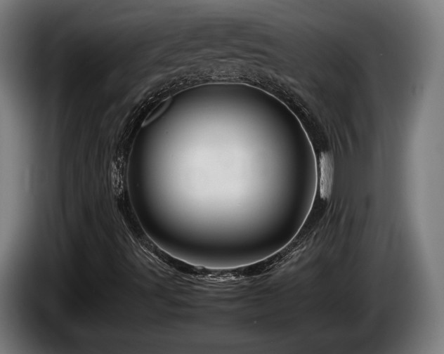 X0000086081491200703301116