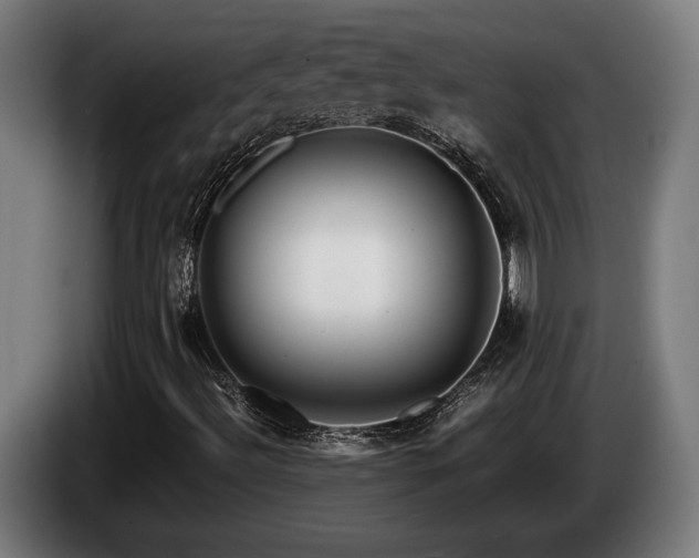 X0000086081492200703301116