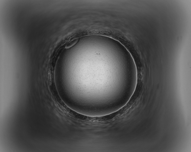 X0000086081493200703301116