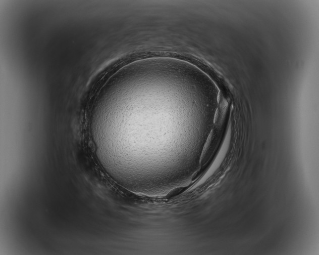 X0000086081494200703301116