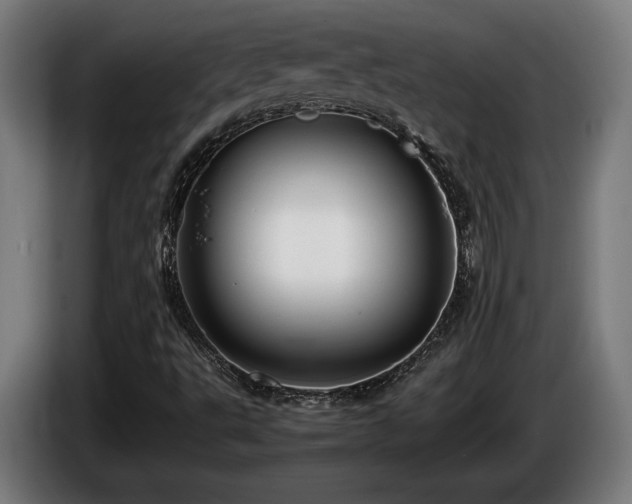 X0000086081495200703301116