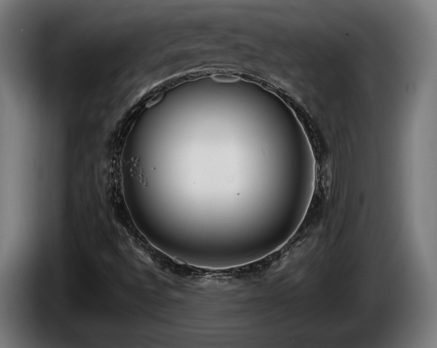 X0000086081496200703301116