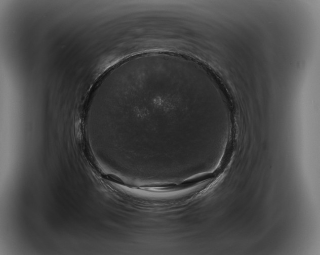 X0000086081497200703301116