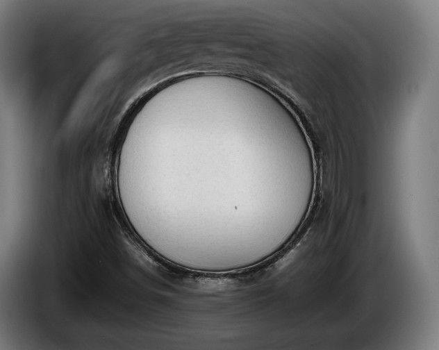 X0000086081498200703301116