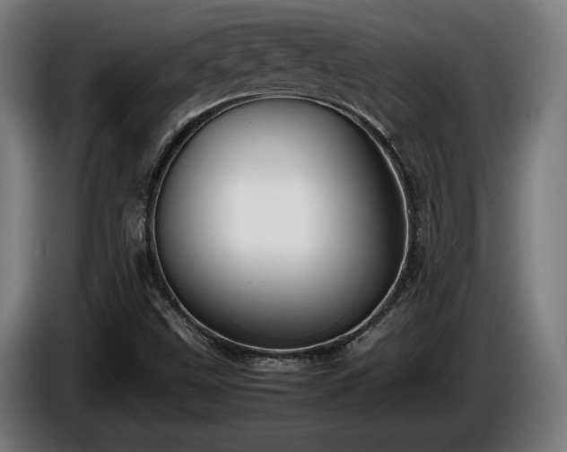 X0000086081499200703301116