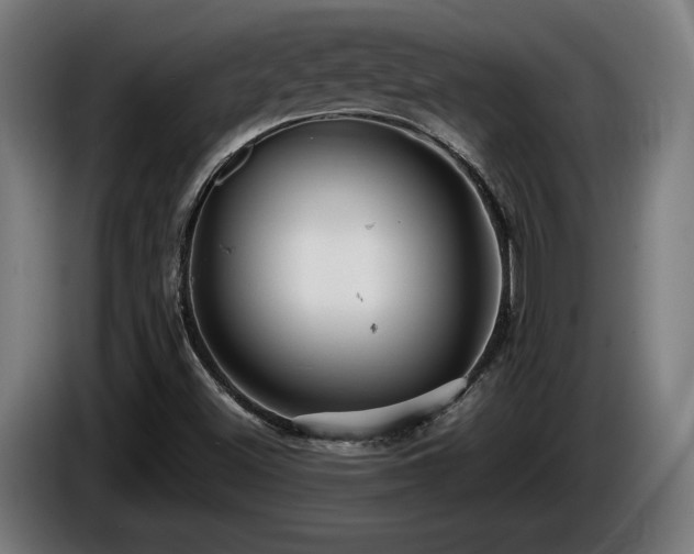 X0000086081500200703301116