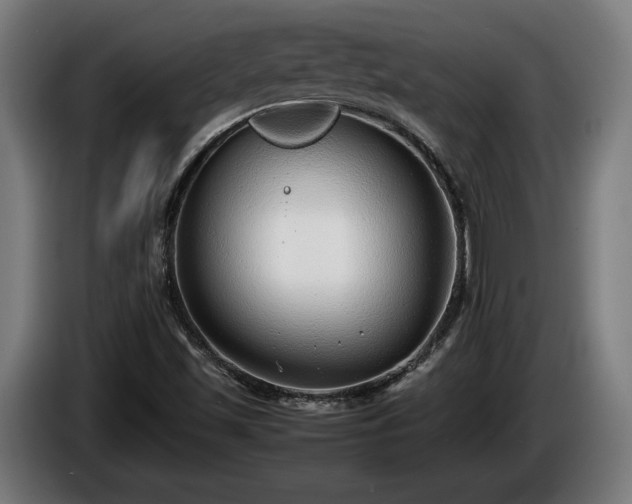 X0000086081501200703301116