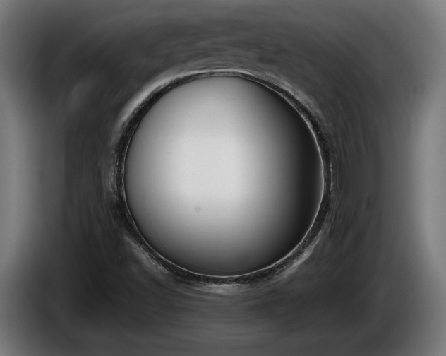 X0000086081502200703301116