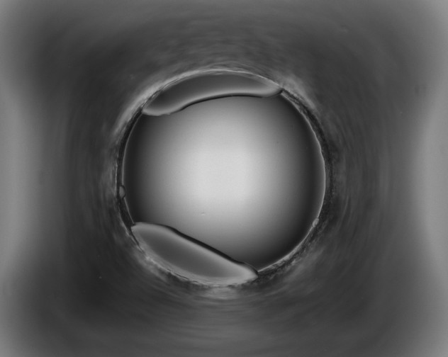 X0000086081504200703301117