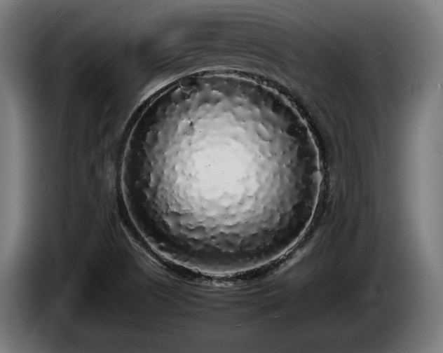 X0000086081505200703301117