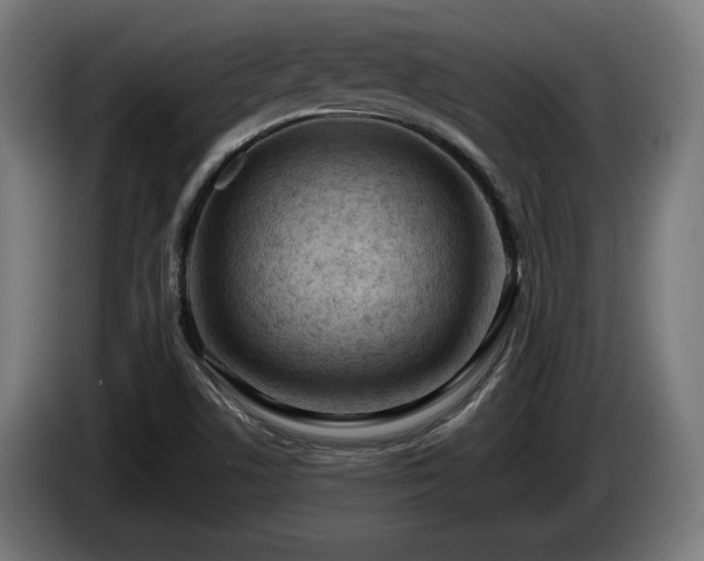 X0000086081506200703301117