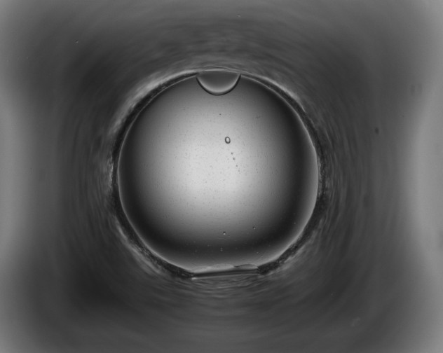 X0000086081507200703301117