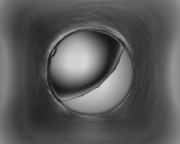 X0000086081512200703301117