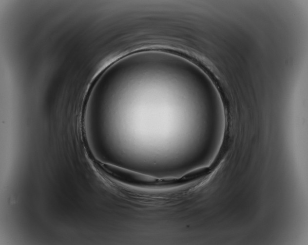 X0000086081513200703301117