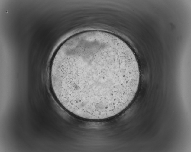 X0000086081514200703301117