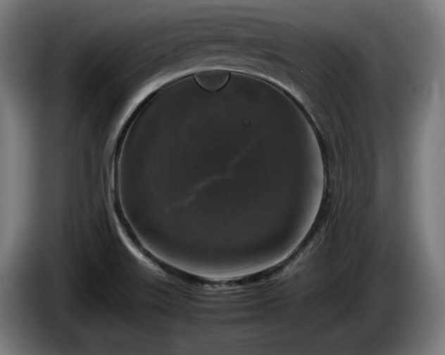 X0000086081515200703301117