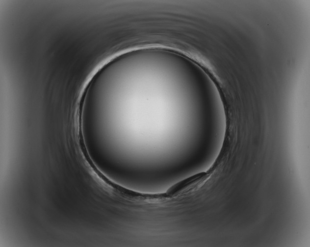 X0000086081516200703301117