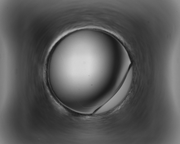 X0000086081518200703301117