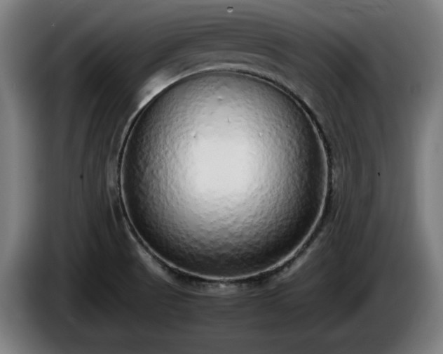 X0000086081521200703301117