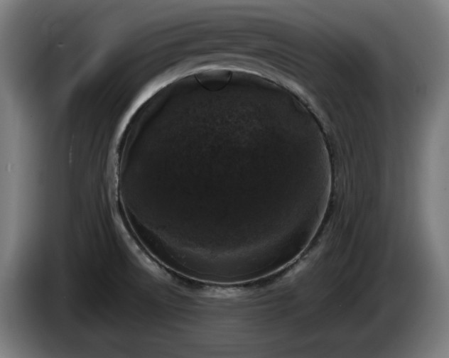 X0000086081522200703301117