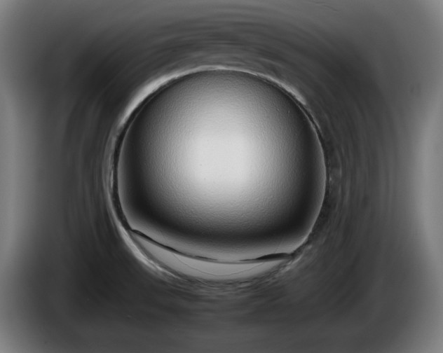 X0000086081523200703301117