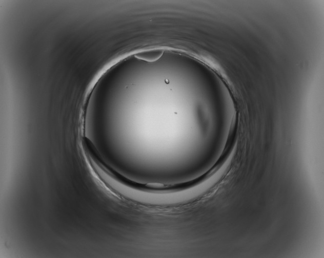 X0000086081524200703301117