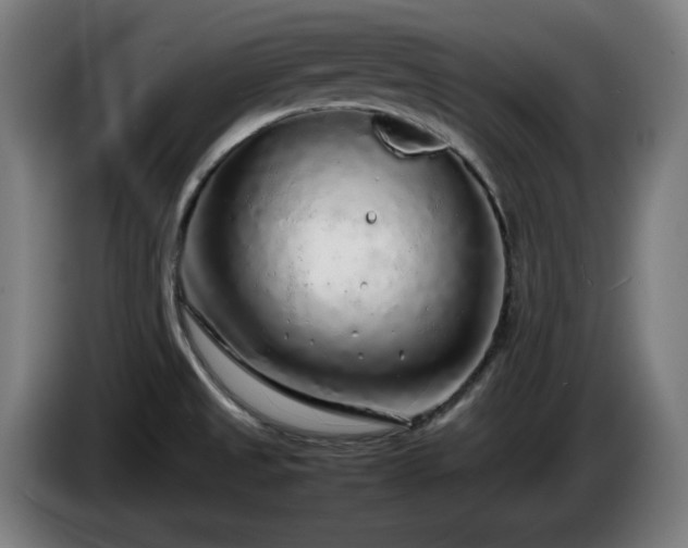 X0000086081525200703301117