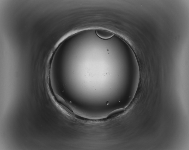 X0000086081526200703301117