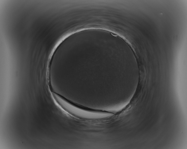 X0000086081527200703301117