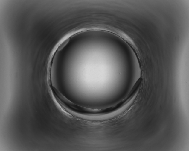 X0000086081528200703301117