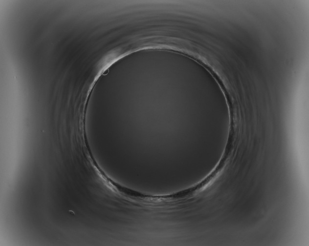 X0000086081529200703301117