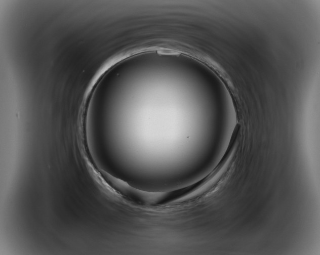 X0000086081530200703301117