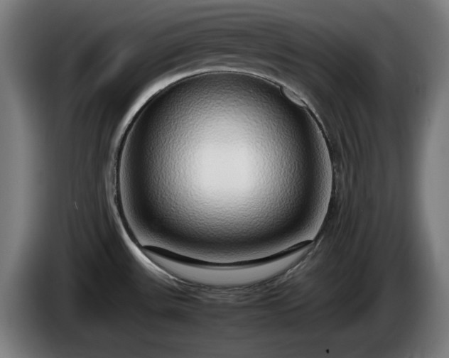 X0000086081531200703301117