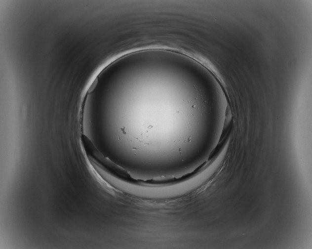 X0000086081532200703301117