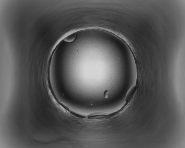 X0000086081534200703301117