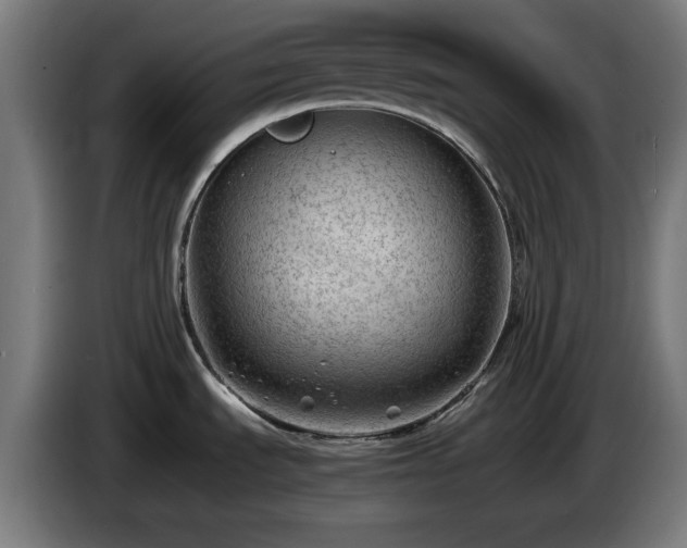 X0000086081535200703301117