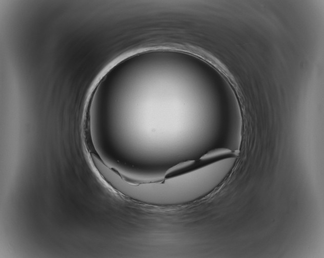 X0000086081536200703301117