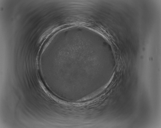 X0000086080002200704091313