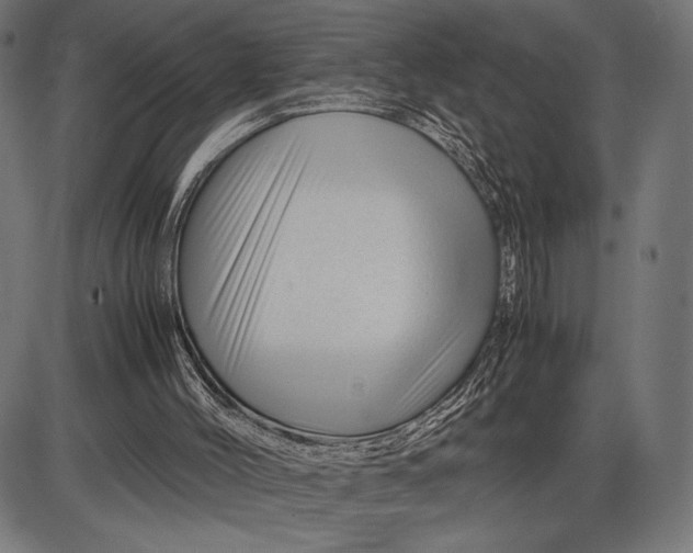 X0000086080004200704091313