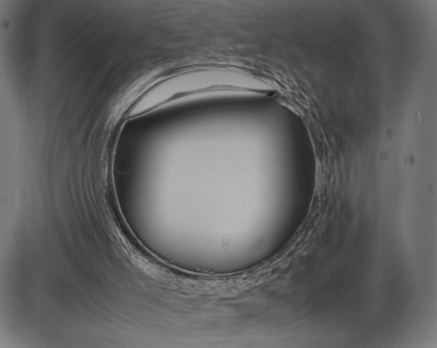 X0000086080005200704091313