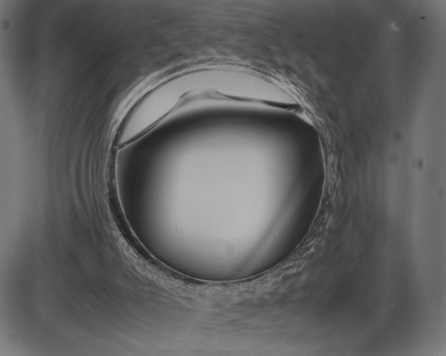 X0000086080007200704091313