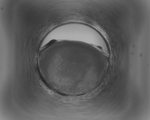 X0000086080009200704091313