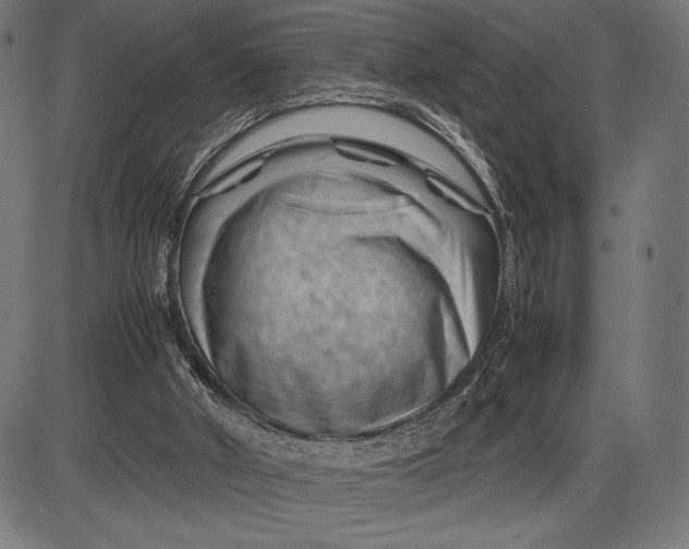 X0000086080010200704091313