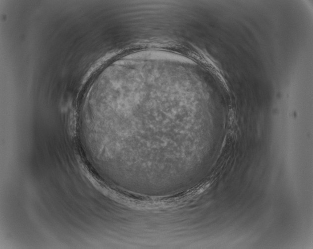 X0000086080012200704091313