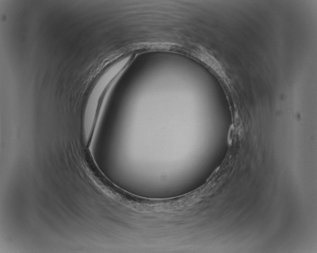 X0000086080013200704091313