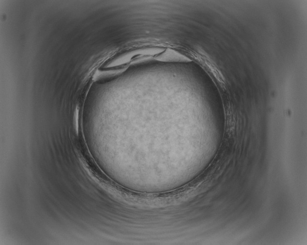 X0000086080014200704091313