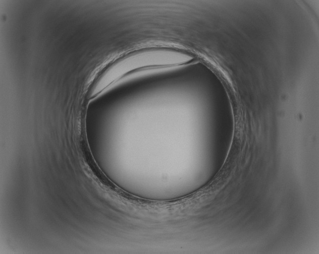 X0000086080015200704091313